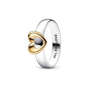 Pandora Damenring Moments 162504C00-48