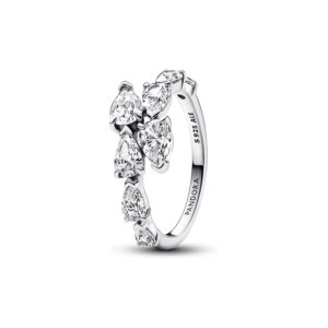 Pandora Damenring Timeless 193004C01-56