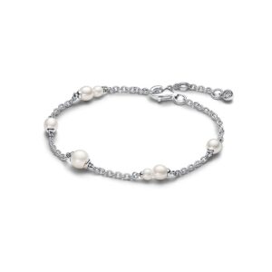 Pandora Armband Pandora Timeless 593172C01-18