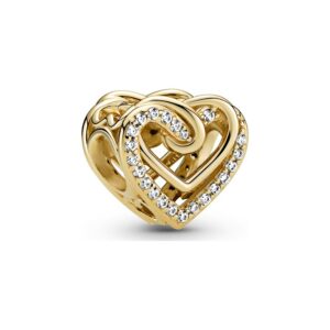 Pandora Charm Moments 769270C01