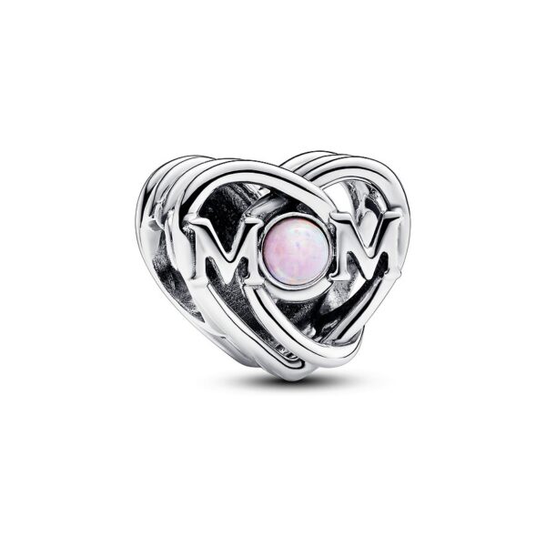 Pandora Charm Moments 793233C01